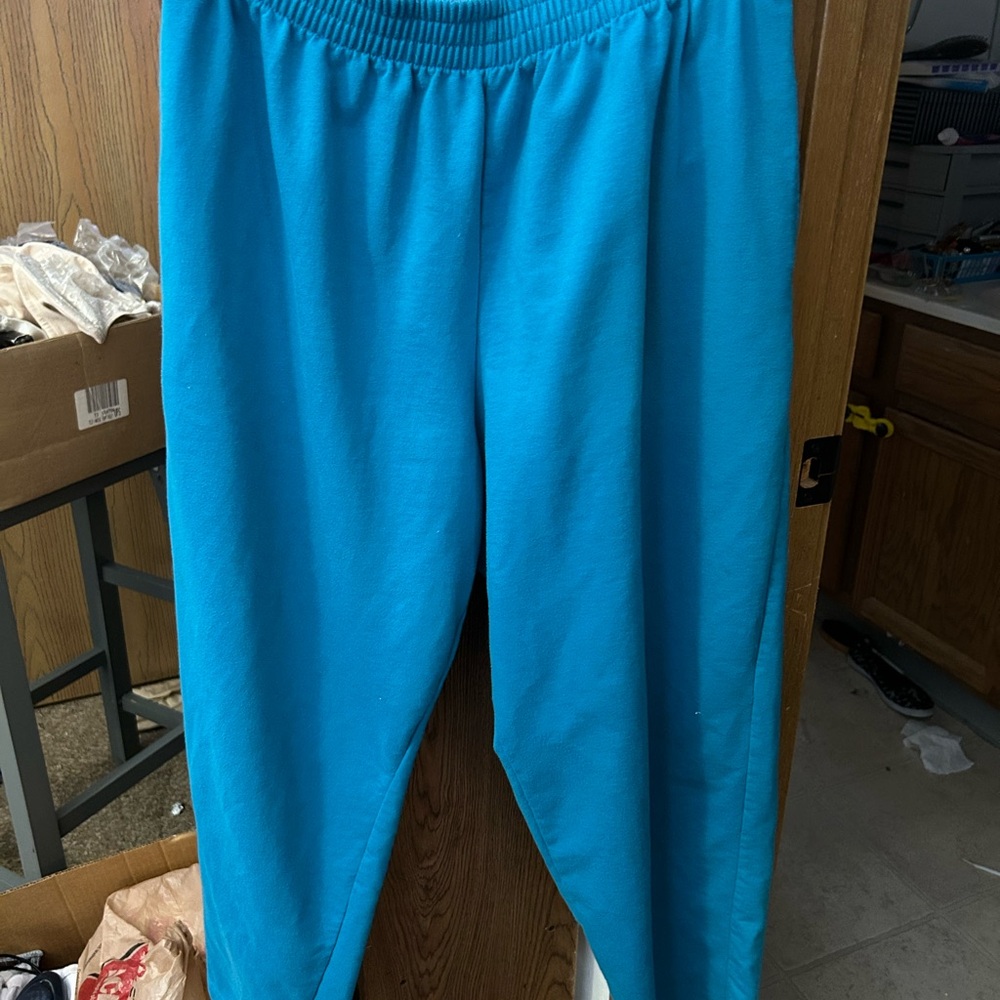 Women’s pants. Beautiful blue color. Rarely worn.